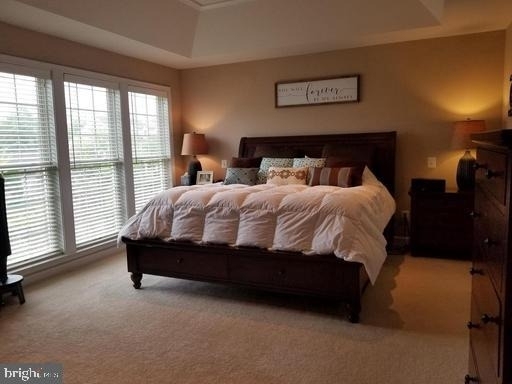 8171 Douglas Fir Drive - Photo 3