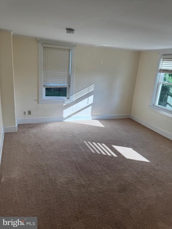 446 W Broad Street - Photo 10