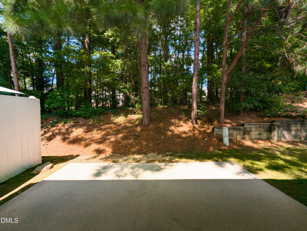 2007 White Pond Court - Photo 29