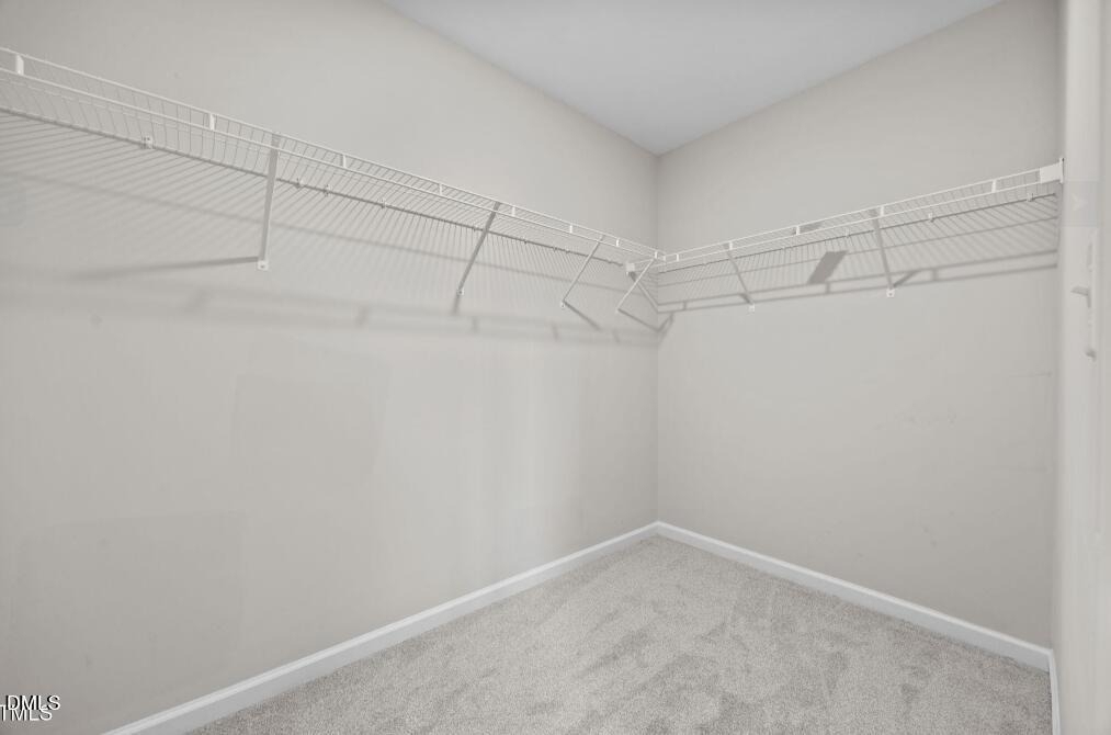 1049 Laceflower Drive - Photo 18