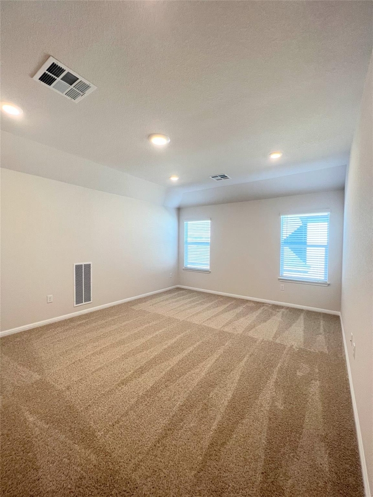 2409 Corriente Path - Photo 31