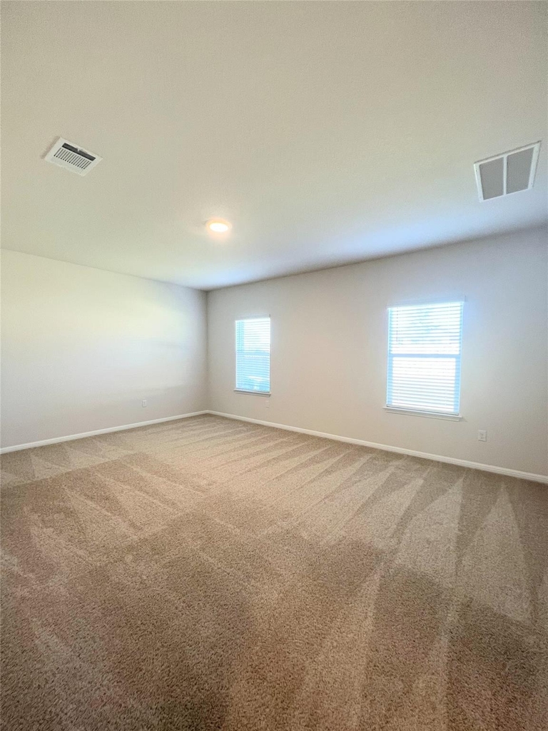 2409 Corriente Path - Photo 17