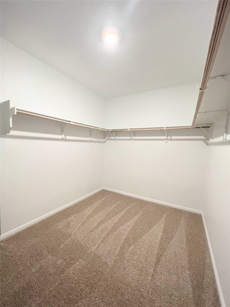 2409 Corriente Path - Photo 18