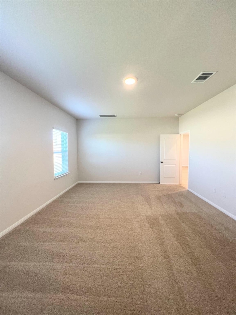 2409 Corriente Path - Photo 16