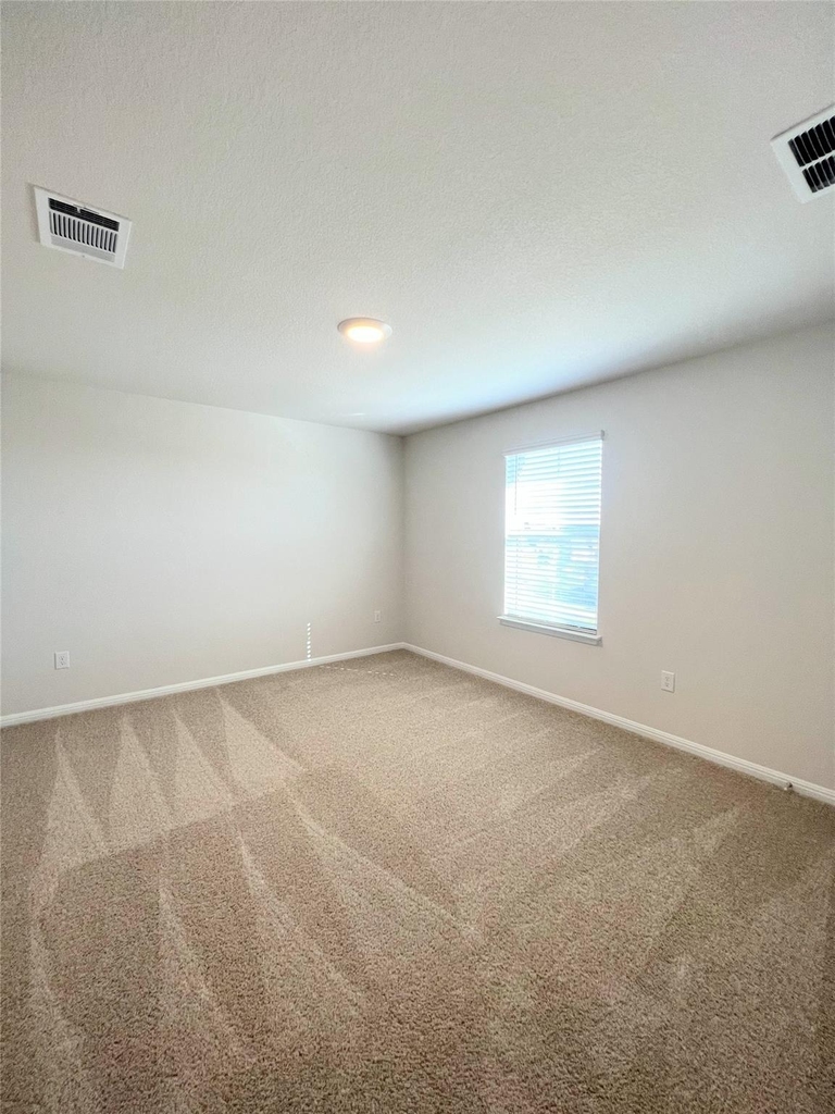 2409 Corriente Path - Photo 28