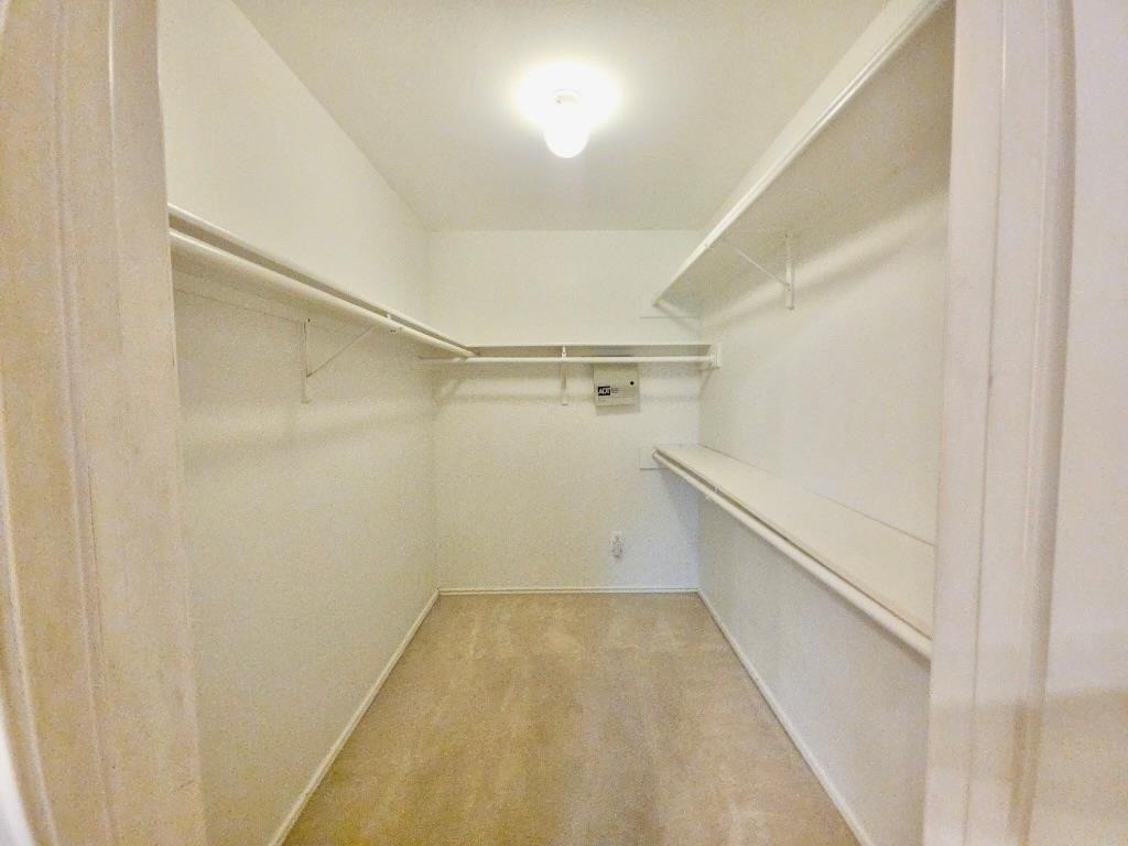 1604 Copperhead Cv - Photo 18