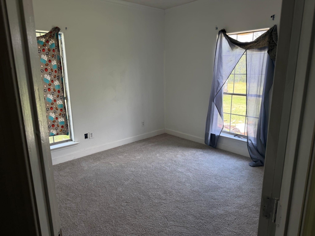21840 Ann Showers Dr - Photo 4
