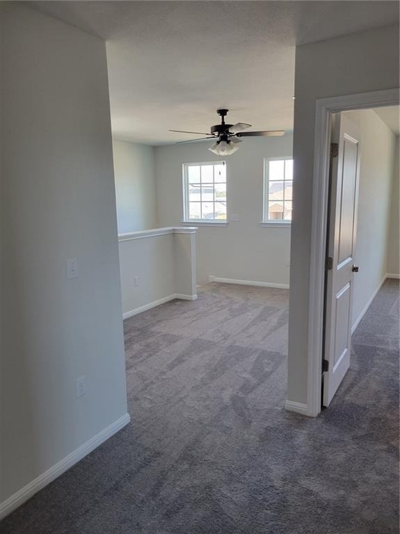 9717 Grapevine Leaf Dr - Photo 19