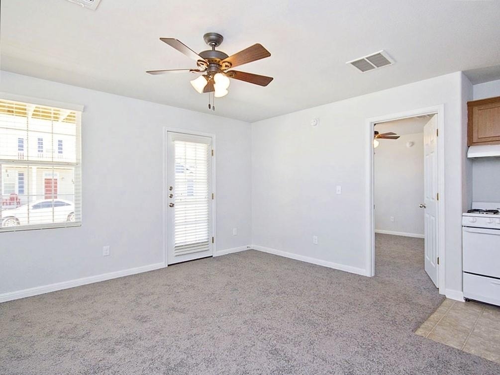 332 Trestle Tree St - Photo 2