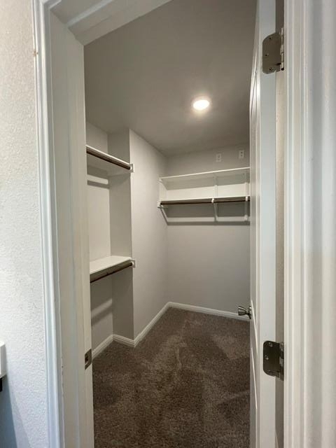 12401 Amber Lynn Path - Photo 12