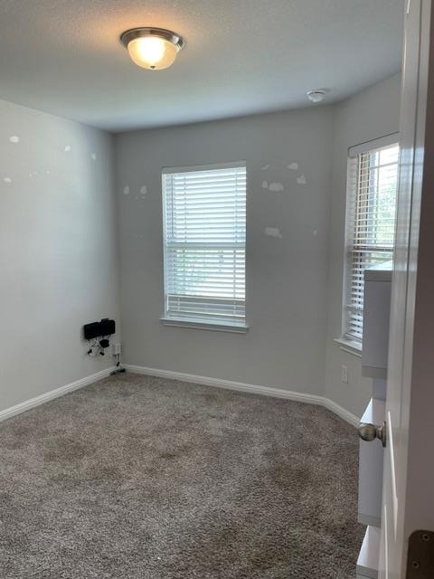12401 Amber Lynn Path - Photo 22