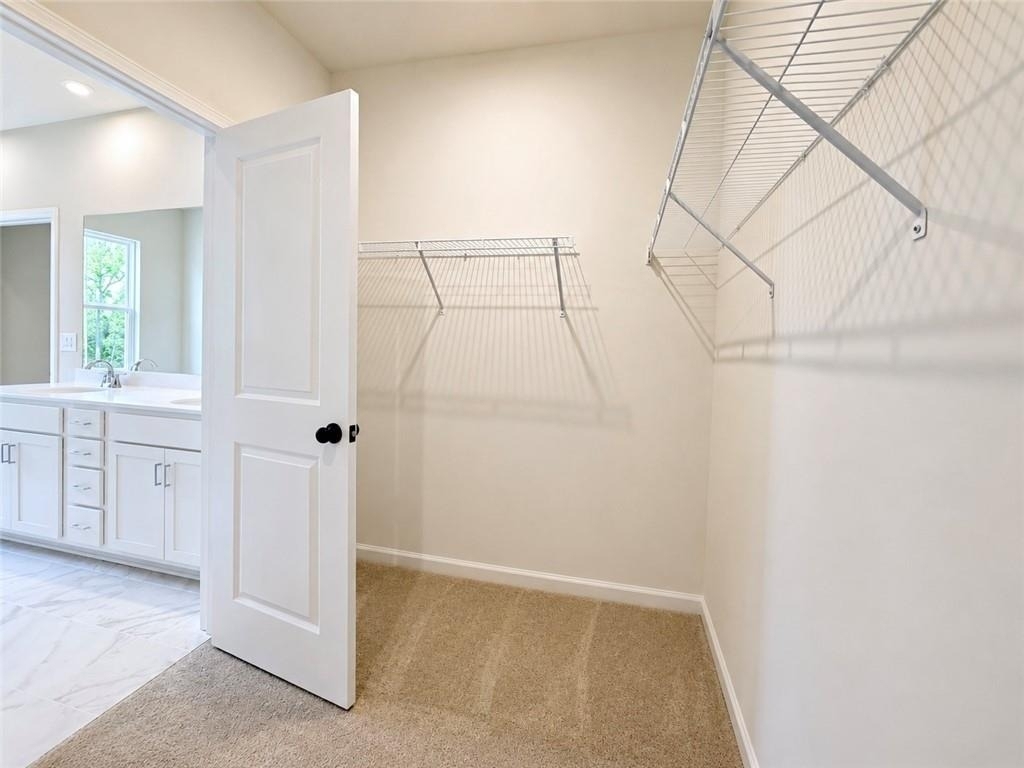 3290 Willow Glade Trail - Photo 14