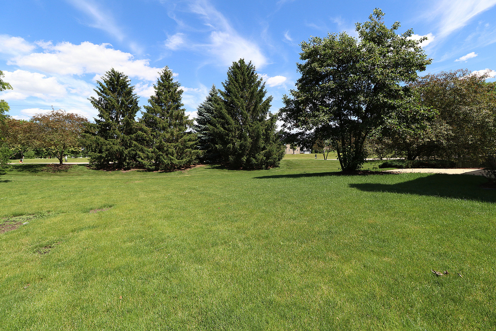 26025 Whispering Woods Circle - Photo 40