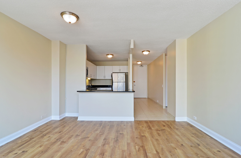 405 N Wabash Avenue - Photo 2