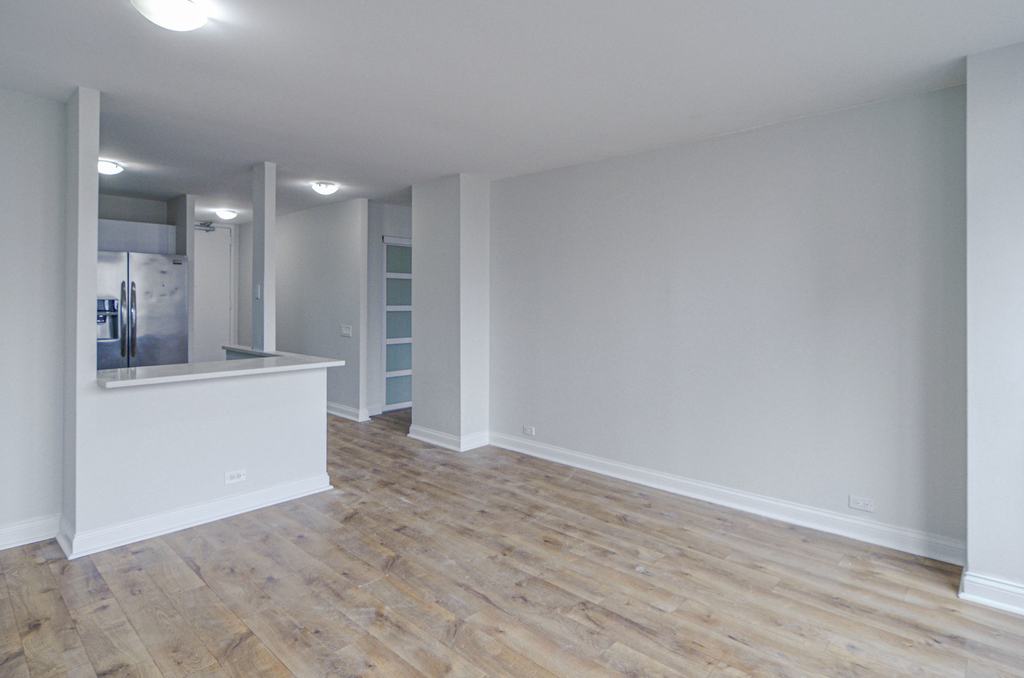 405 N Wabash Avenue - Photo 3