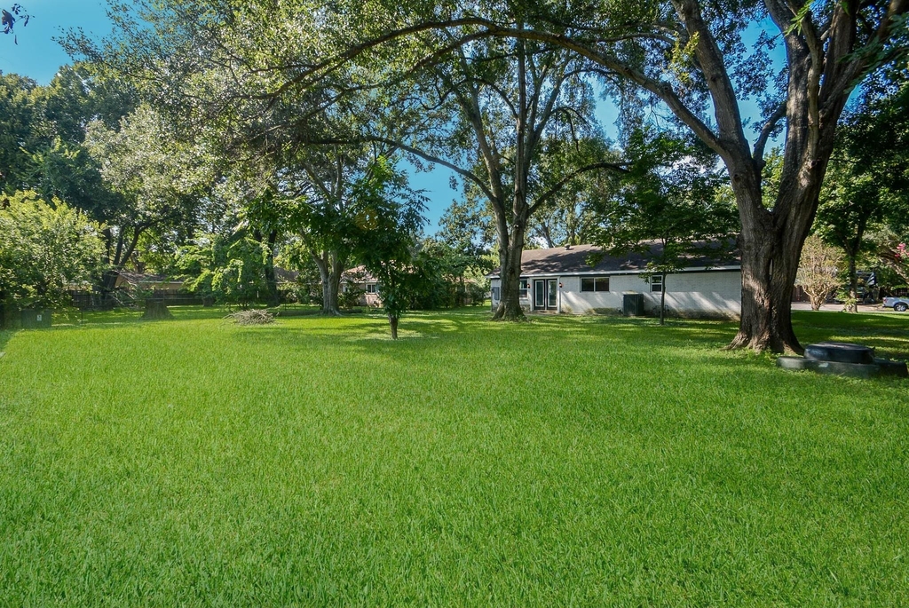 12315 Maxim Drive - Photo 45