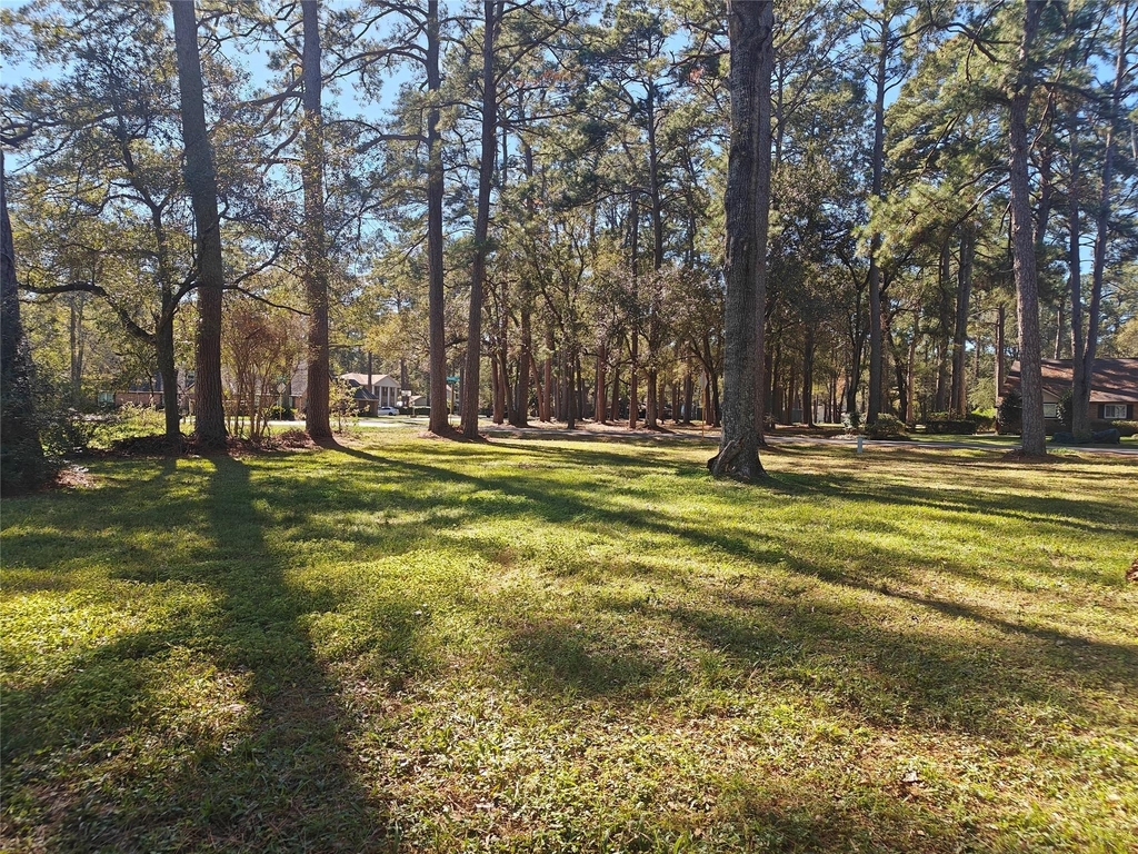 15606 Pinedell Drive - Photo 23