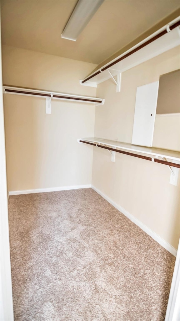 18910 Alta Pine Lane - Photo 15