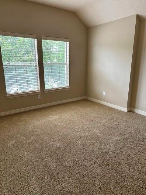 12010 Paladora Point Court - Photo 37