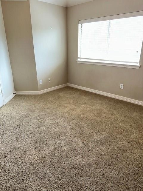 12010 Paladora Point Court - Photo 33