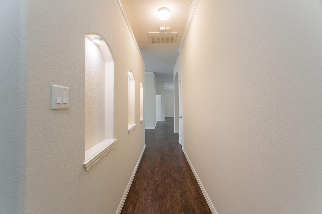 25531 Forest Springs Lake - Photo 1