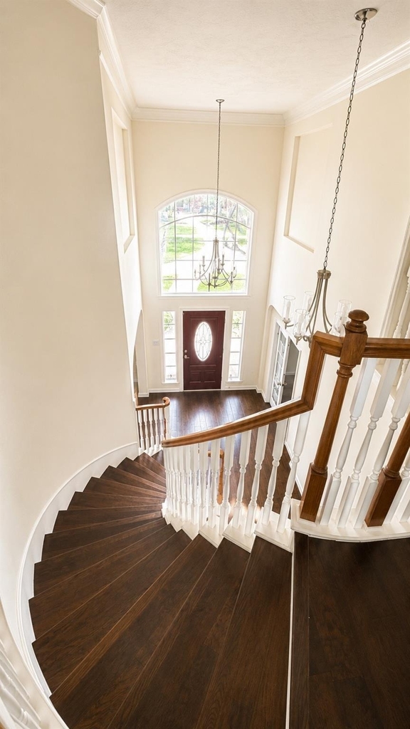 12014 Bolero Point Lane - Photo 12