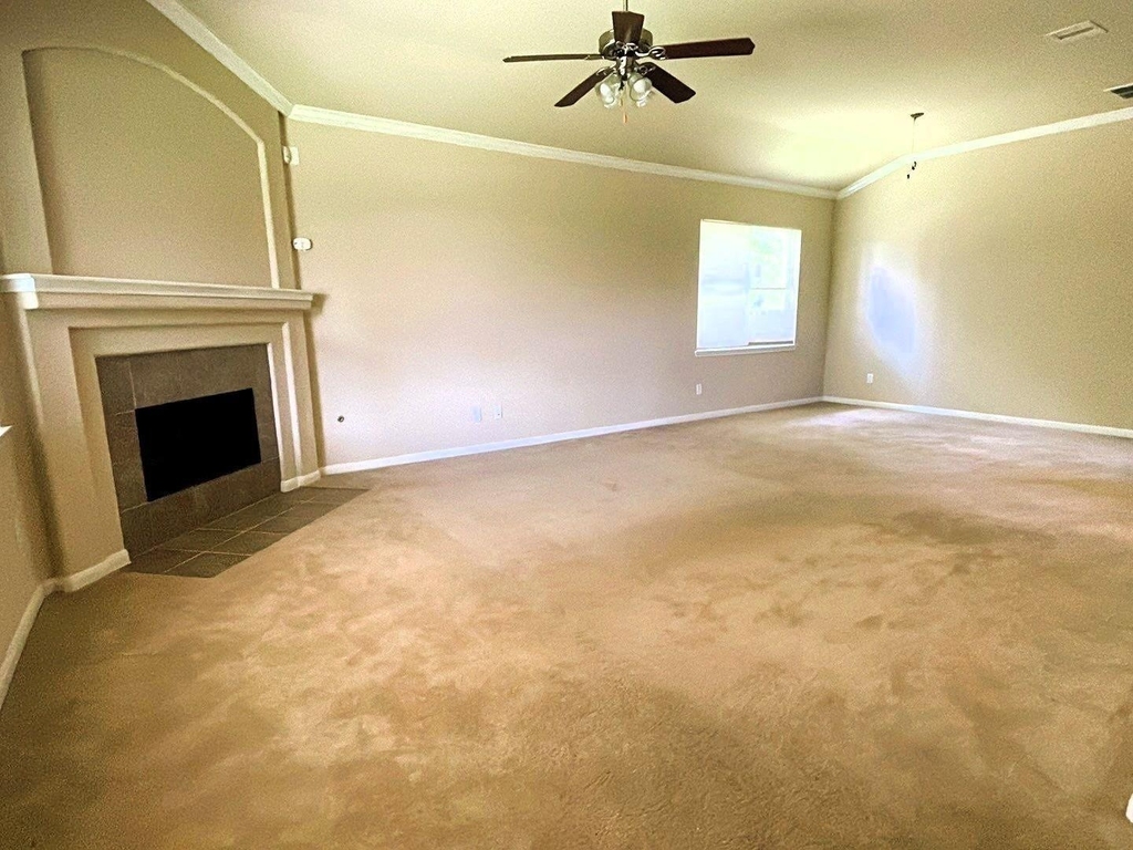 1014 Spring Lakes Haven Drive - Photo 4