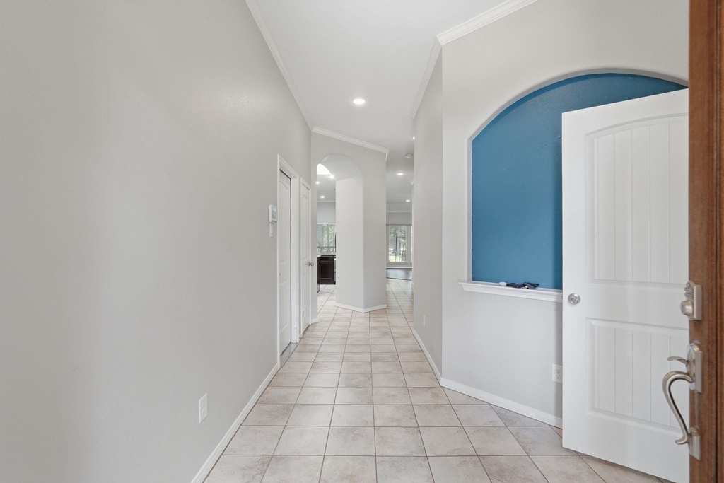 9217 Silver Back Trail - Photo 5