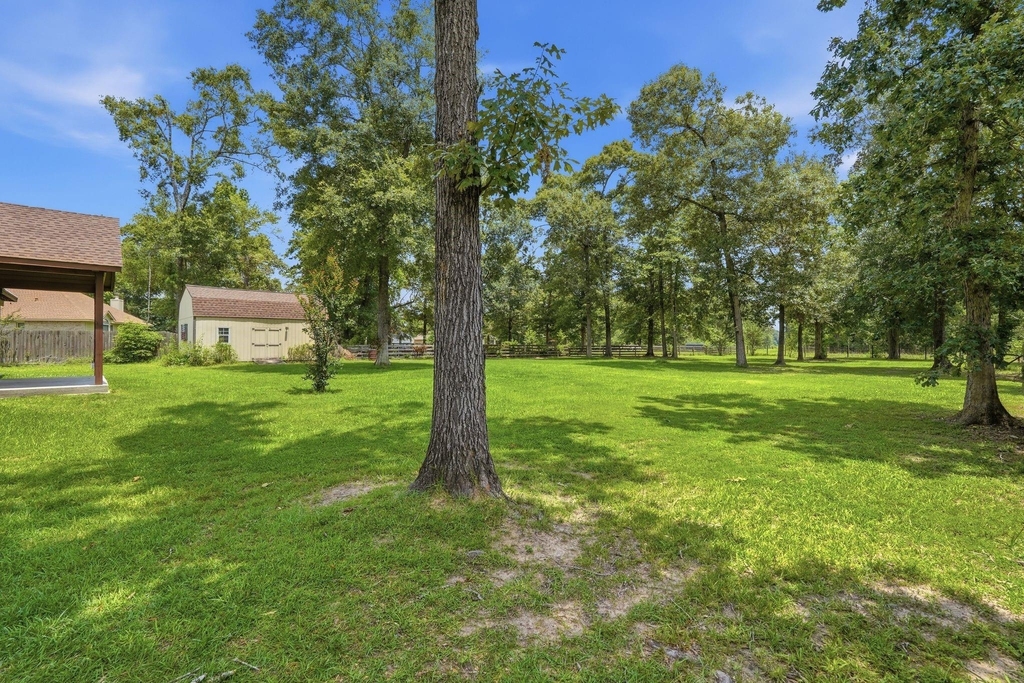9217 Silver Back Trail - Photo 45