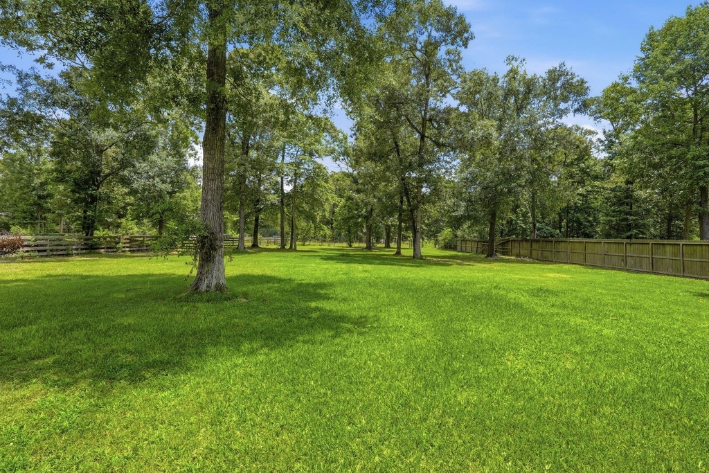 9217 Silver Back Trail - Photo 42