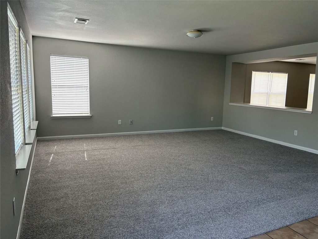 11423 Sugar Bowl Drive - Photo 2