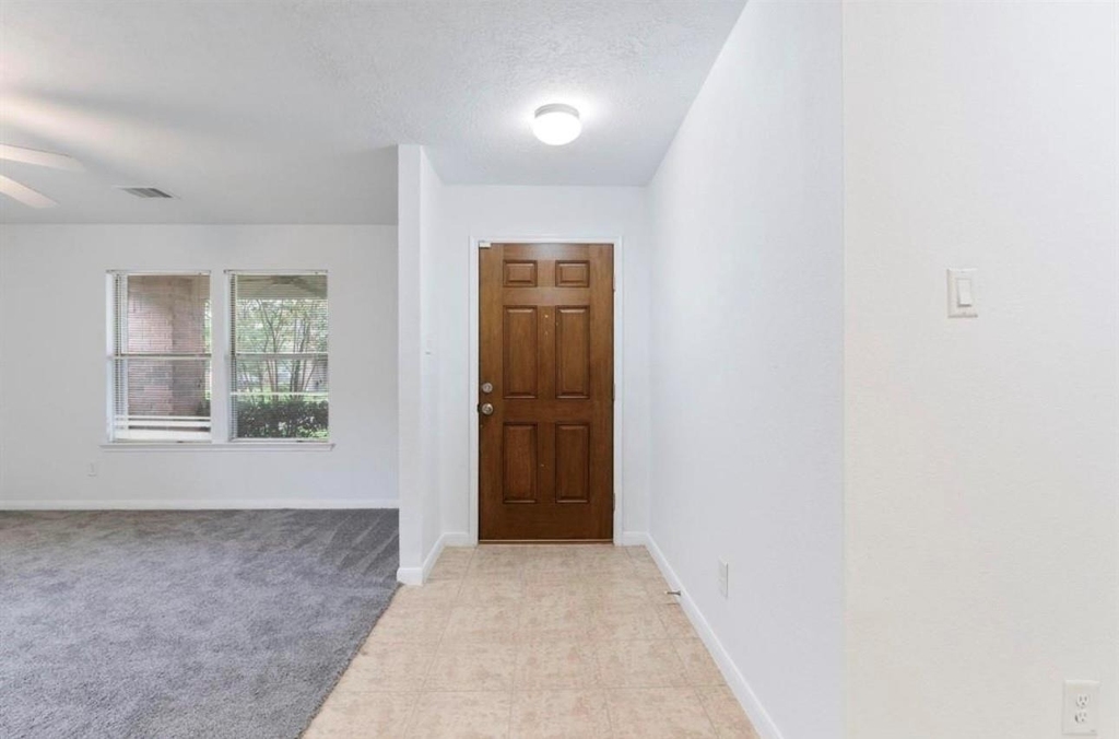 16119 Peach Bluff Lane - Photo 19