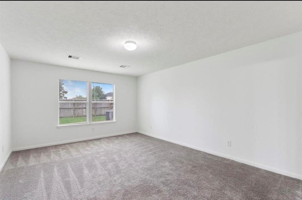 16119 Peach Bluff Lane - Photo 12
