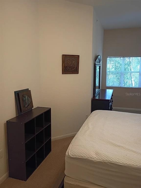 520 Armenia Avenue S - Photo 8
