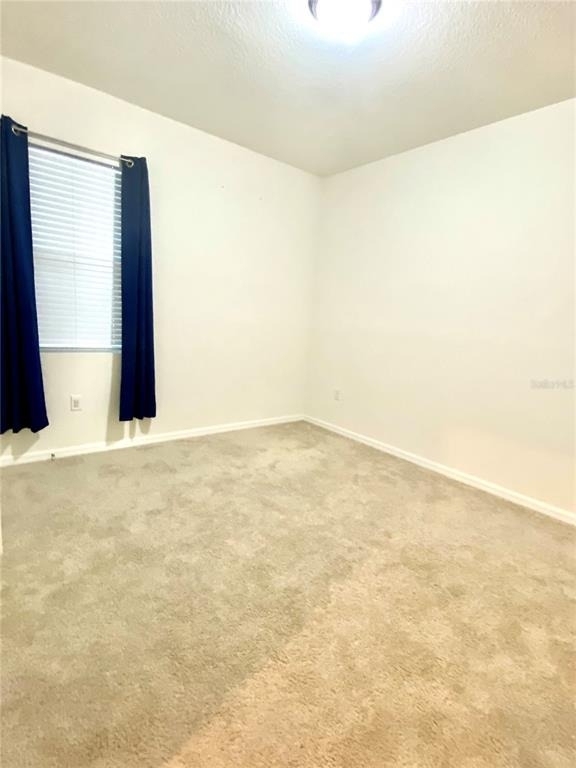 31882 Tansy Bend - Photo 9