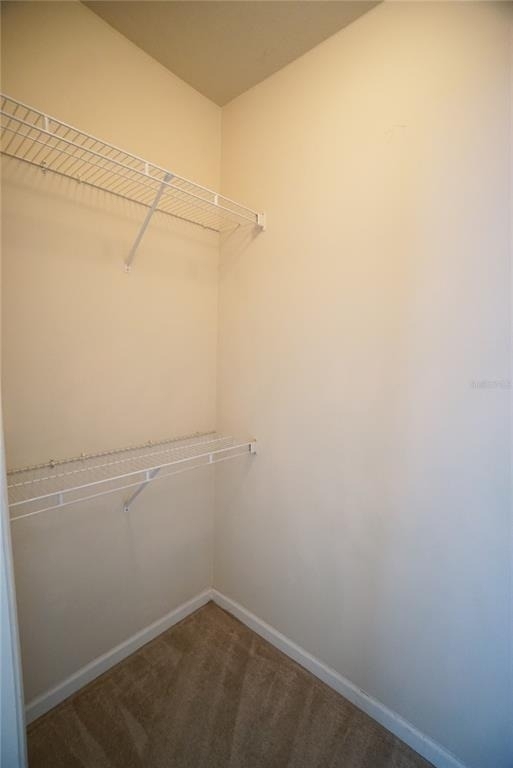 18004 Villa Creek Drive - Photo 14