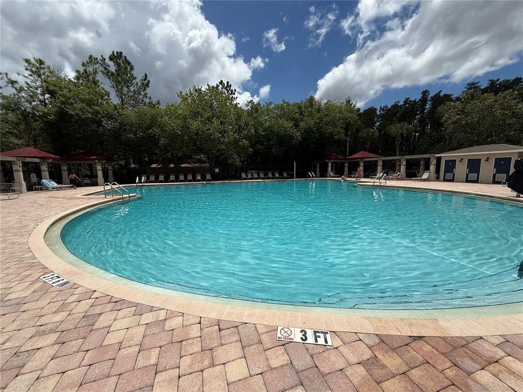 30316 Elderwood Drive - Photo 20