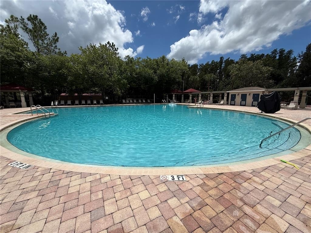 30316 Elderwood Drive - Photo 22