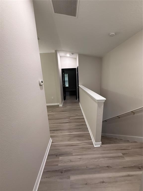 30316 Elderwood Drive - Photo 12