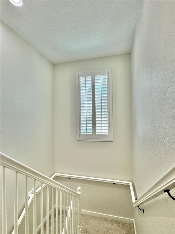 13416 Beebe Alley - Photo 58