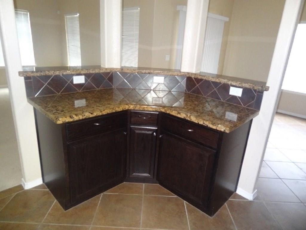 12325 Sombra Grande Drive - Photo 5
