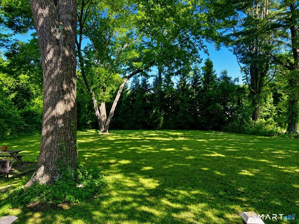 186 Schiller Road - Photo 14