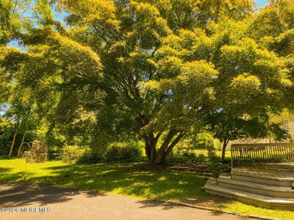 129 Rumson Road - Photo 12