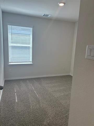 219 Tall Cedar Way - Photo 17