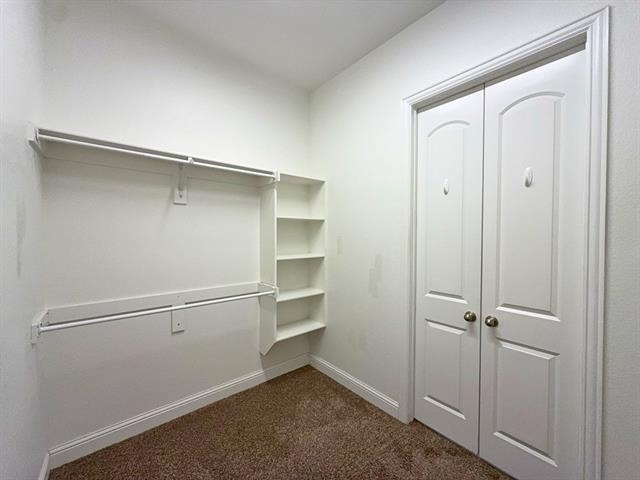 302 Julia Lane - Photo 14