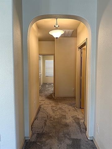 1800 Potrillo Lane - Photo 9