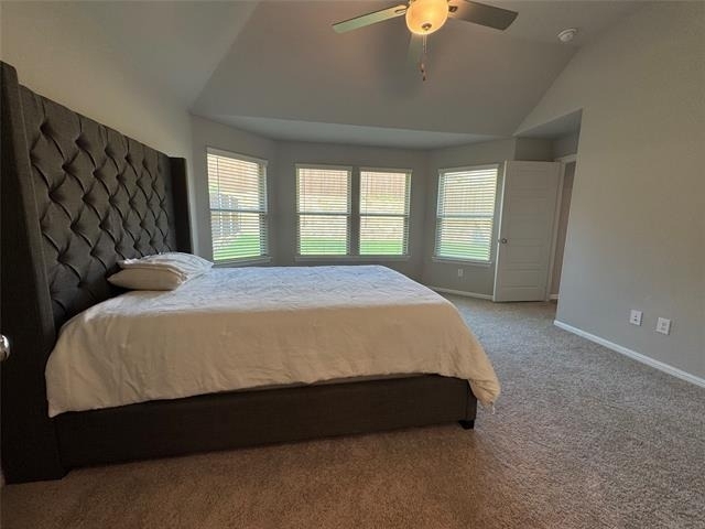 3613 Monte Carlo Lane - Photo 9
