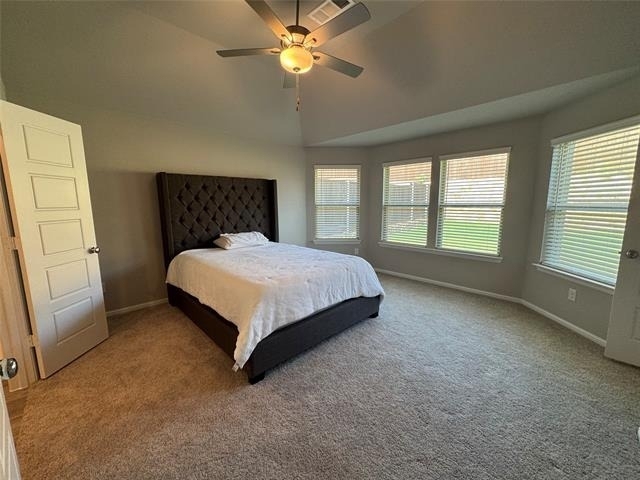 3613 Monte Carlo Lane - Photo 8