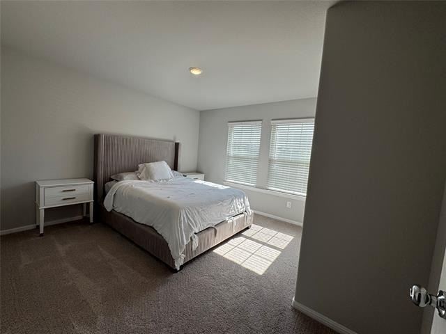 3613 Monte Carlo Lane - Photo 13