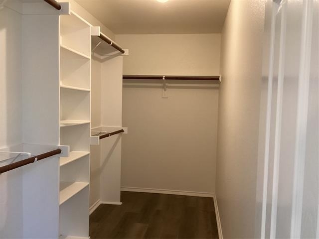 11900 Porcupine Drive - Photo 11